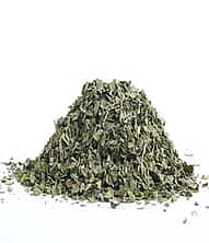 Spearmint - Mentha Spicata L